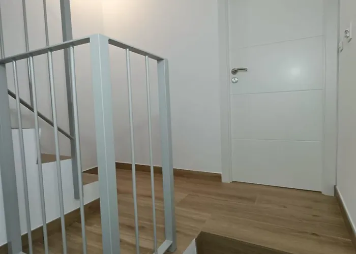 As Mimosas D'cross Redondela